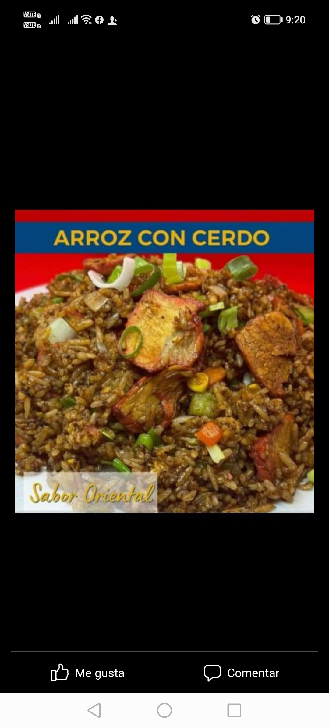Arroz Frito de Cerdo 